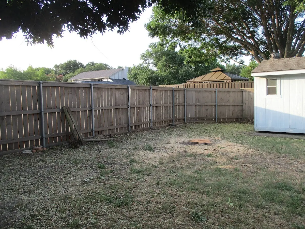 Cleared yard after professional tree removal in Shipshewana