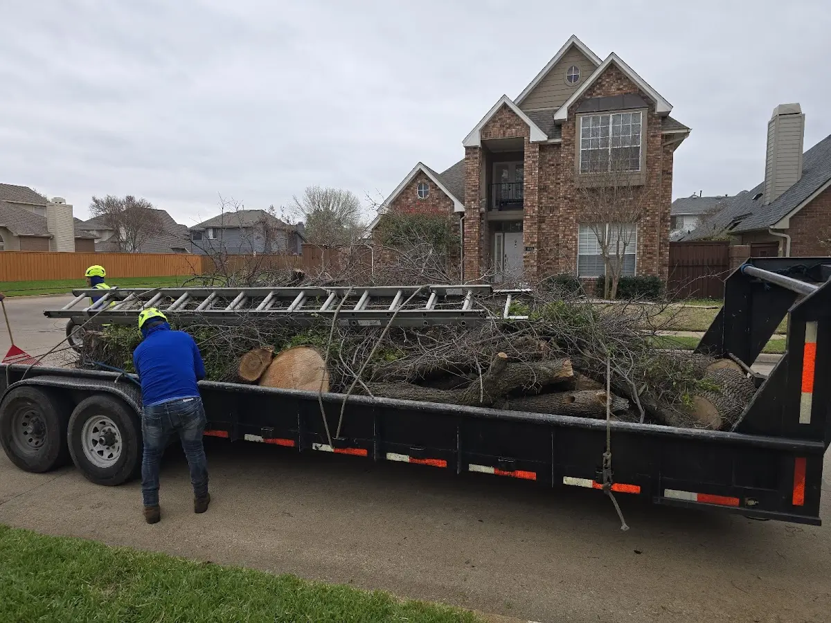 Expert Tree Pest Control with proper safety equipment in Shipshewana